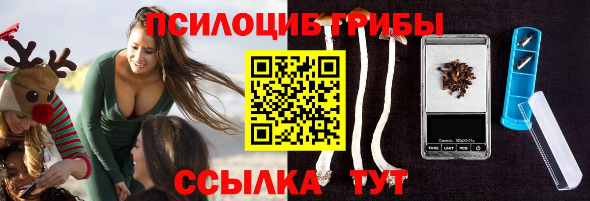 Псилоцибиновые грибы MAGIC MUSHROOMS Тихвин