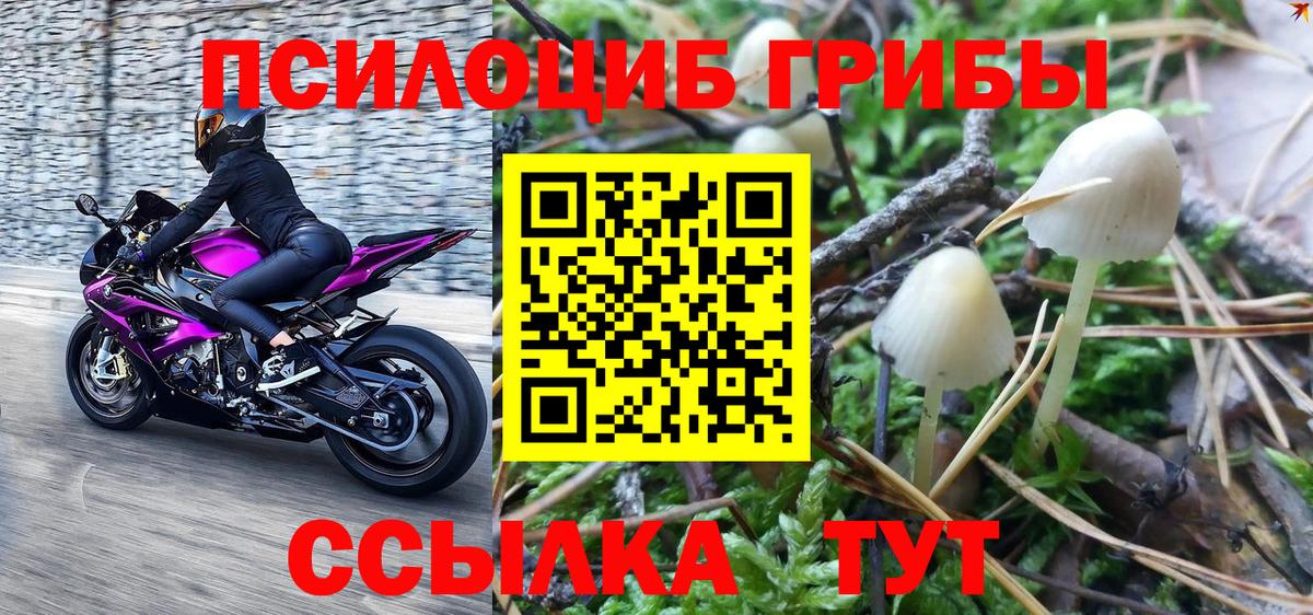 Тихвин  Псилоцибиновые грибы ЛСД  Галлюциногенные грибы GOLDEN TEACHER  Вход с VPN 